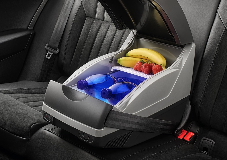 ثلاجة صغيرة في مقاعد سكودا الخلفية